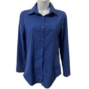 Blue Long Sleeve Sheer Button Down Blouse